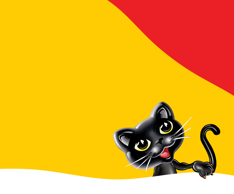 Black Cat Campaign